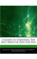 A Guide to Choosing the Best Breed of Dog for You: (English)