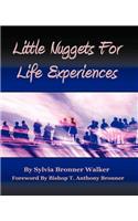 Little Nuggets for Life's Experiences