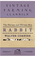 The Havana and Havana-Rex Rabbit: (English)