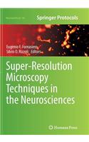 Super-Resolution Microscopy Techniques in the Neurosciences