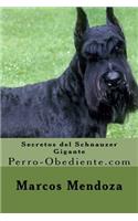 Secretos del Schnauzer Gigante