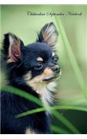 Chihuahua September Notebook Chihuahua Record, Log, Diary, Special Memories, To Do List, Academic Notepad, Scrapbook & More