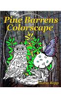 Pine Barrens Colorscape