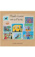 Flash Goes on a Picnic