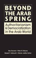 Beyond the Arab Spring