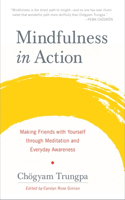 Mindfulness in Action: Making Friends with Yourself through Meditation and Everyday Awareness(English)