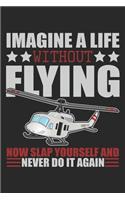 Imagine A Life Without Flying