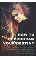 How to Reprogram Your Destiny: How to Discover Yourself Through Your Perceptions and Change Your Fate Using Your Imagination