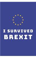 I Survived Brexit