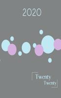 2020 twenty twenty: 2020 Appointments Diary Page A Day: Yearly Planner
