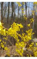 2019 Daily Planner Forsythia Branch Against Forest 384 Pages: (Notebook, Diary, Blank Book)(2019 Planners Calendars Organizers Datebooks Appointment Books Agendas)