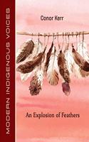 Explosion of Feathers