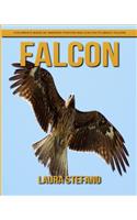 Falcon