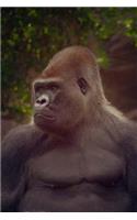 Grand Gorilla Portrait Notebook: 150 Lined Pages, Glossy Softcover, Size 6 x 9