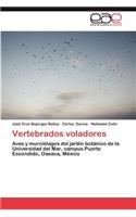 Vertebrados Voladores