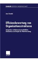 Effizienzbewertung von Organisationsstrukturen