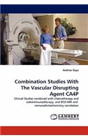 Combination Studies with the Vascular Disrupting Agent Ca4p