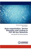 Auto-organization, Service Discovery and Lookup in P2P Ad Hoc Networks