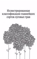 Illyustrirovannaya klassifikatsiya glavnejshih sortov lugovyh trav