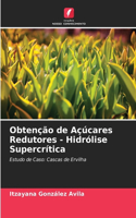 Obtenção de Açúcares Redutores - Hidrólise Supercrítica