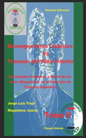 Biomagnetismo Cuántico Vs Traumas del Niño Interior Tomo II