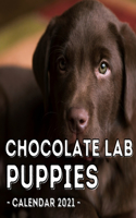 Chocolate Lab Puppies Calendar 2021