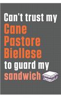 Can't trust my Cane Pastore Biellese to guard my sandwich: For Cane Pastore Biellese Dog Breed Fans