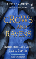 Crows and Ravens