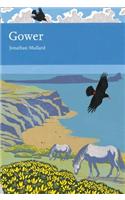 Gower