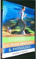 Essentials of Human Anatomy & Physiology