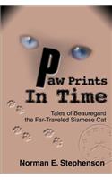 Paw Prints In Time