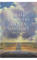Small Disasters Seen in Sunlight