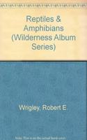 Reptiles & Amphibians Nature Stories For Children