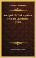 New Species Of Dolichopodidae From The United States (1899)