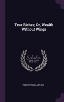 True Riches; Or, Wealth Without Wings