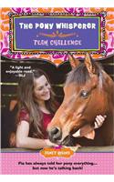 Team Challenge