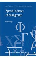 Special Classes of Semigroups