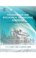 Fermentation and Biochemical Engineering Handbook