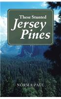 These Stunted Jersey Pines