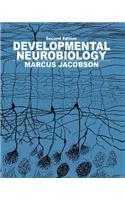 Developmental Neurobiology