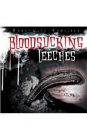 Bloodsucking Leeches