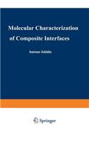 Molecular Characterization of Composite Interfaces