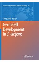 Germ Cell Development in C. Elegans