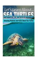 Sea Turtles: Amazing Pictures and Facts about Sea Turtles