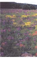 The Field of Locoweed