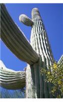 A Saguaro Cactus Up Close American Southwest Desert Journal: 150 Page Lined Notebook/Diary