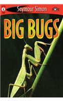 Big Bugs