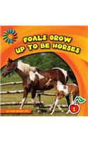 Foals Grow Up to Be Horses: (21st Century Basic Skills Library: Animals Grow Up)