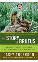 The Story of Brutus