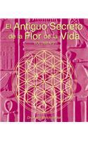 El Antiguo Secreto de la Flor de la Vida, Volumen II